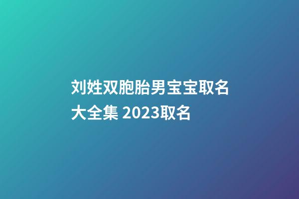 刘姓双胞胎男宝宝取名大全集 2023取名